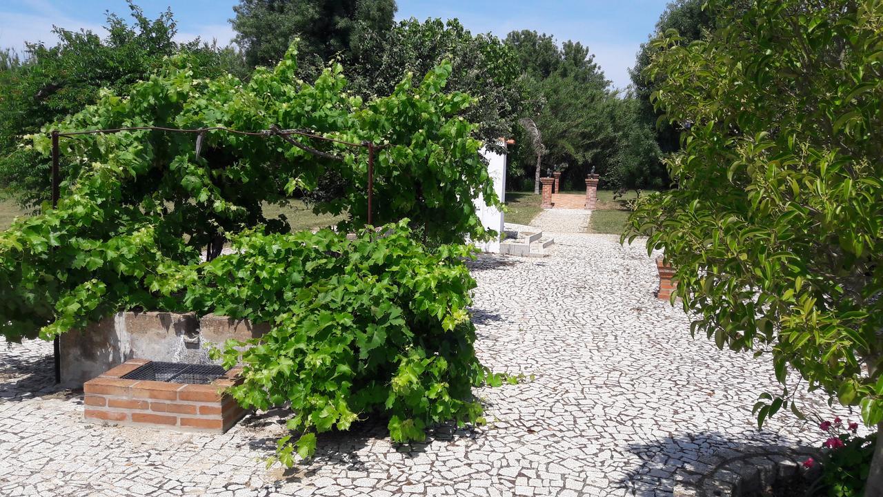 Vimieiro Quinta Da Abrunheira公寓 外观 照片
