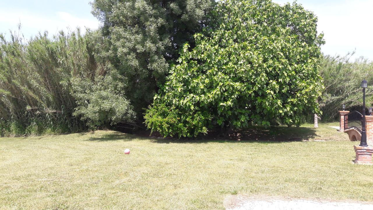 Vimieiro Quinta Da Abrunheira公寓 外观 照片